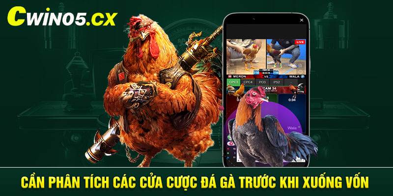 Cần phân tích các cửa cược đá gà trước khi xuống vốn